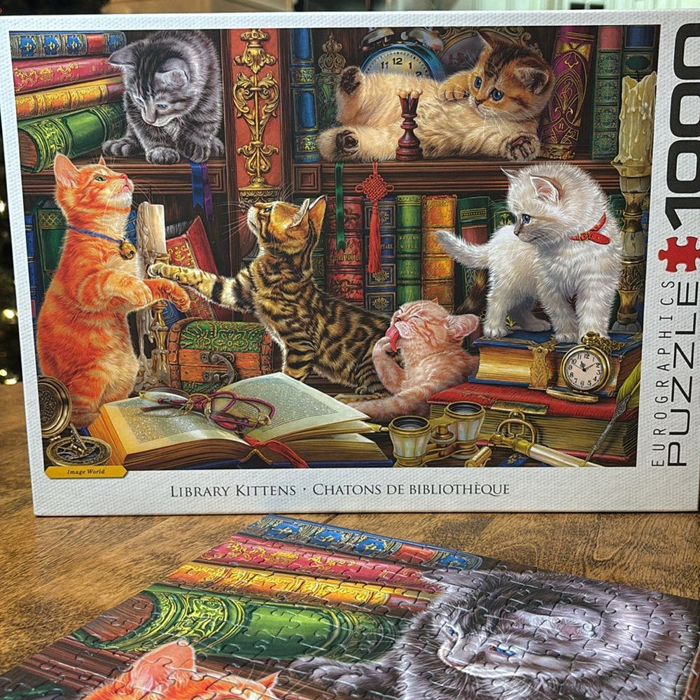 Eurographics puzzle